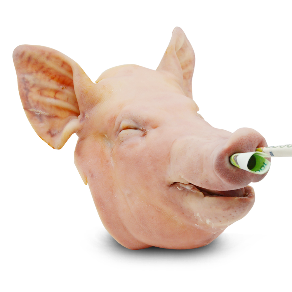 고사용 돼지머리 6.5kg 국내산 고사머리