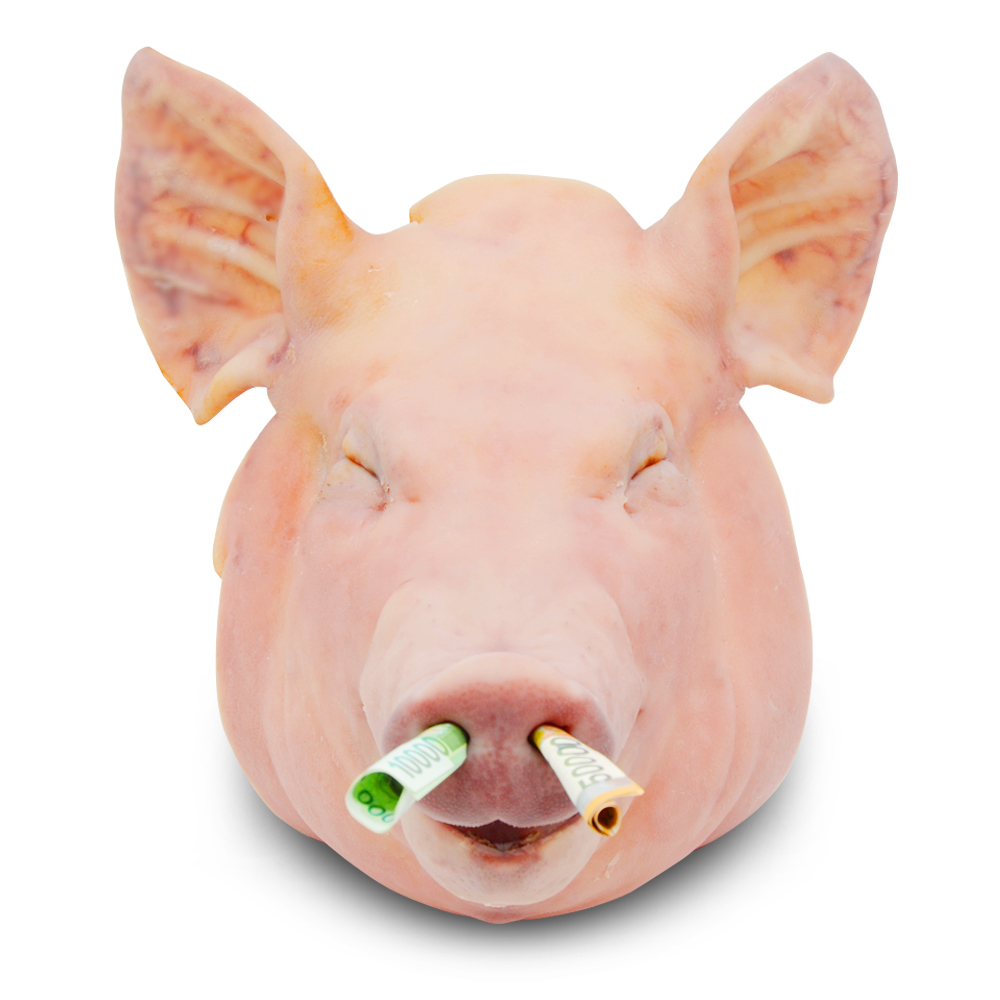 고사용 돼지머리 6.5kg 국내산 고사머리