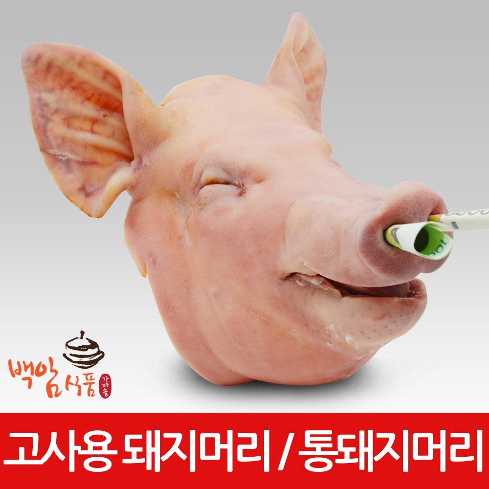 고사용 돼지머리 6.5kg 국내산 고사머리